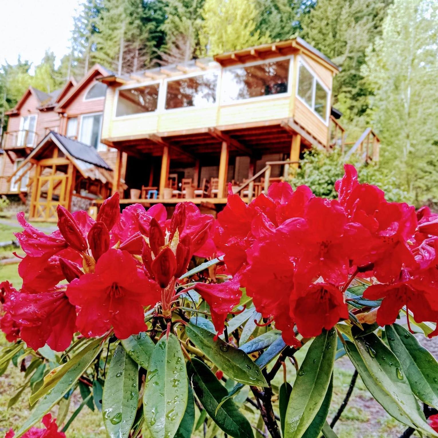 Hosteria Lekun Lekun Вілья-Ла-Ангостура Екстер'єр фото
